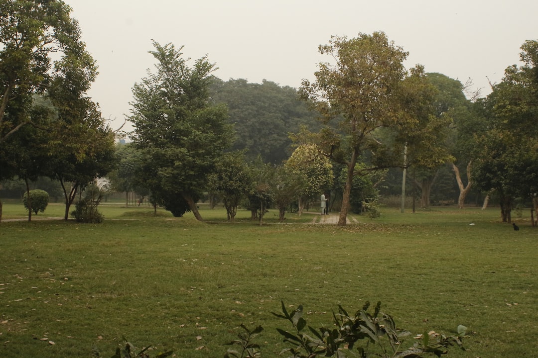 primeplay-bulkweb-io_